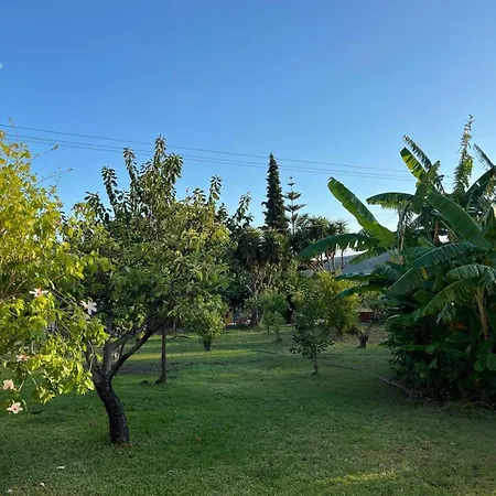 Anabelis & * Кателиос